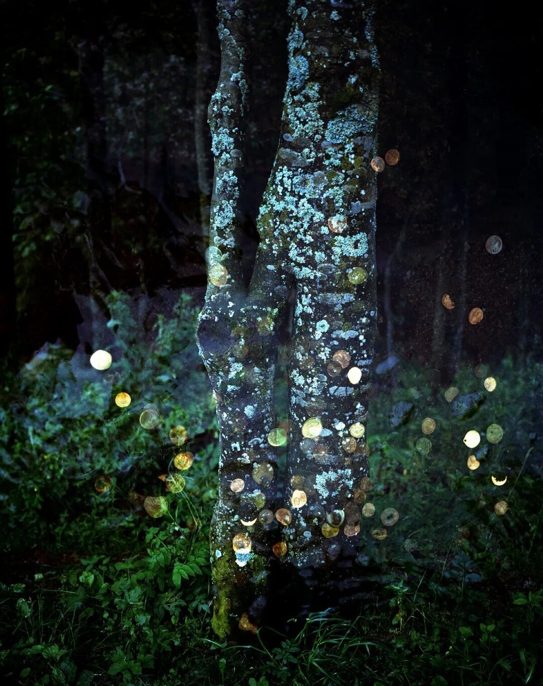 Giurgiu城市复兴及社区活化相关项目丨罗马尼亚-66