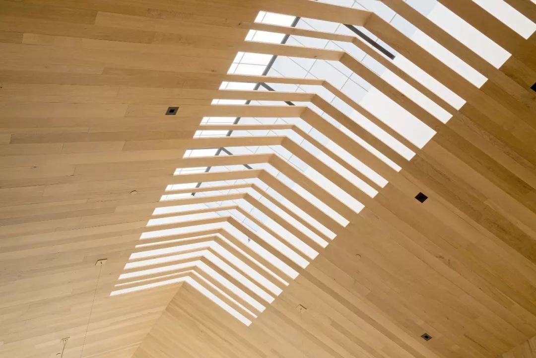 融合自然的当代美学 | 丹尼尔·皮乔塔设计案例解读-43