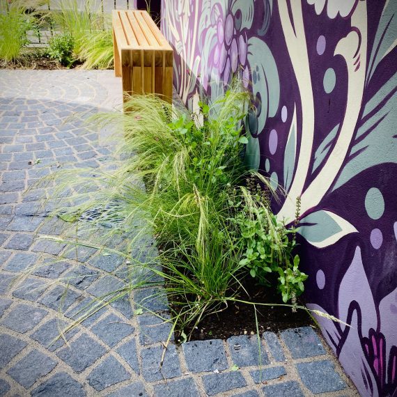 奥威尔村舍花园丨英国爱丁堡-27