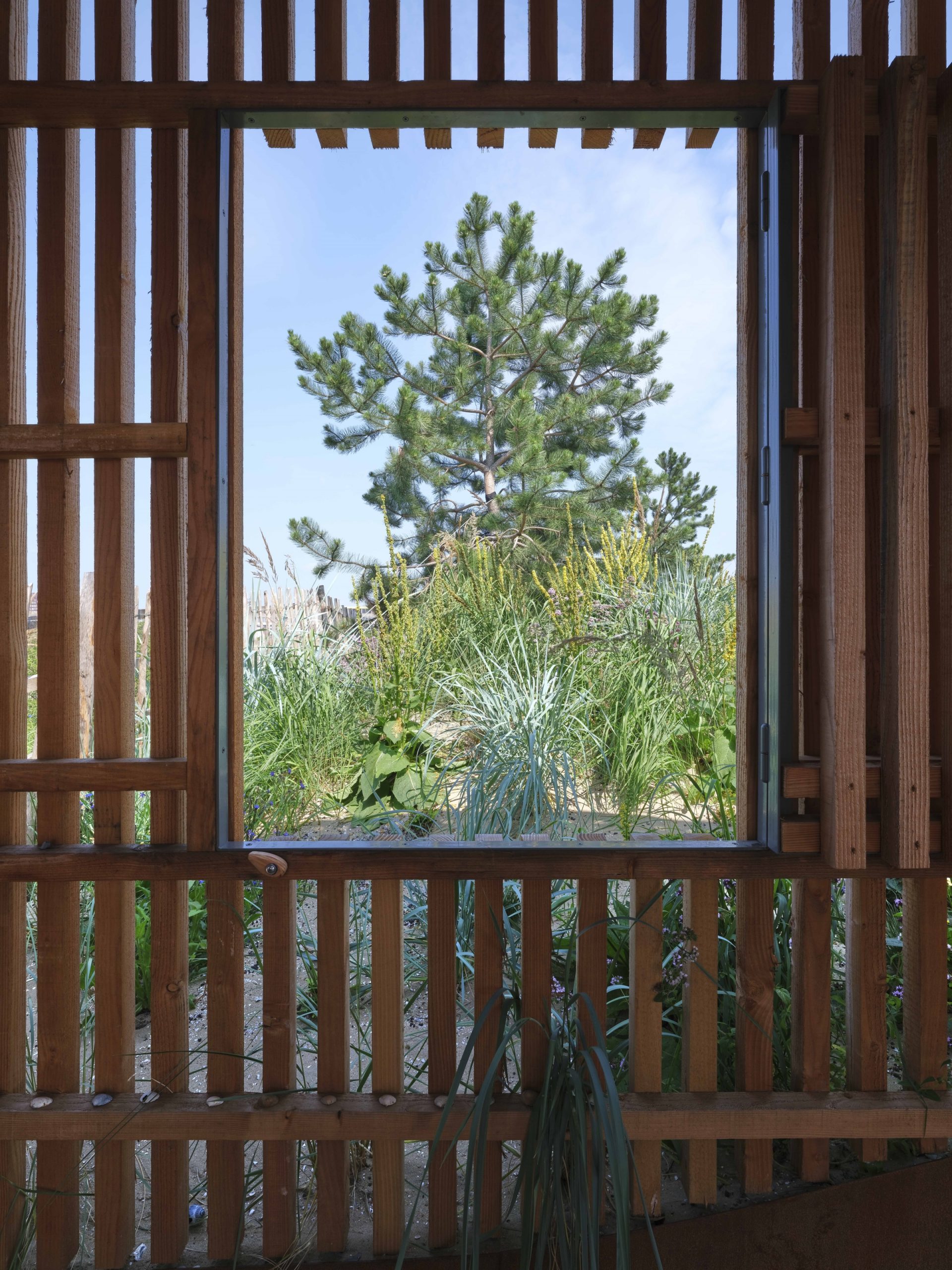 沙丘顶丨荷兰阿姆斯特丹丨Buro Harro-17