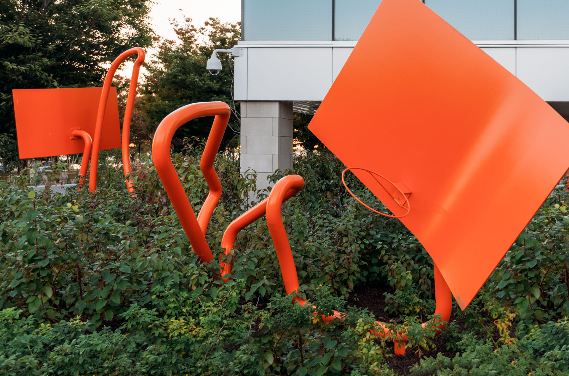 Raptors Hoops | Eventscape-2