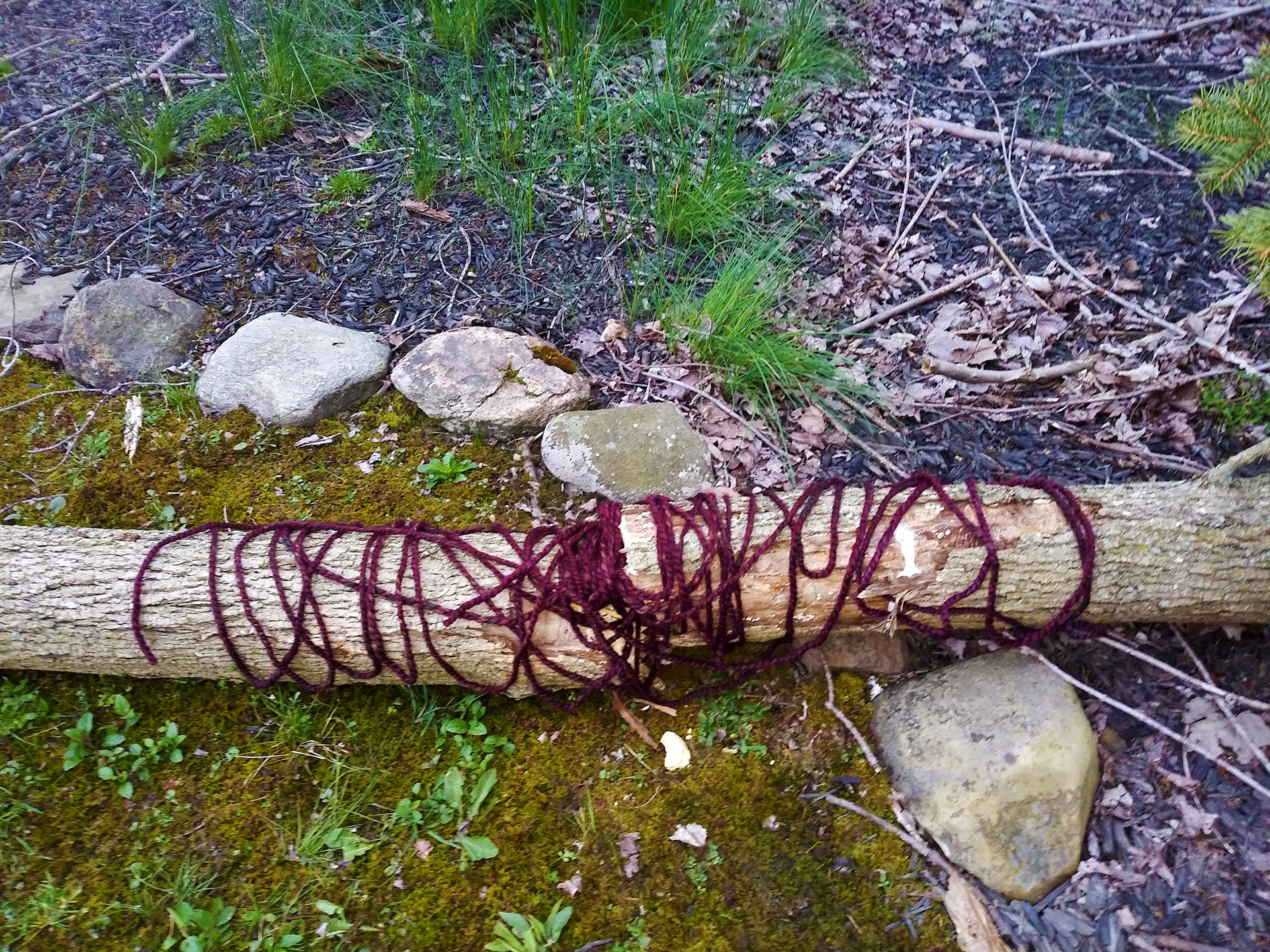 自然界中隐藏的线条-12