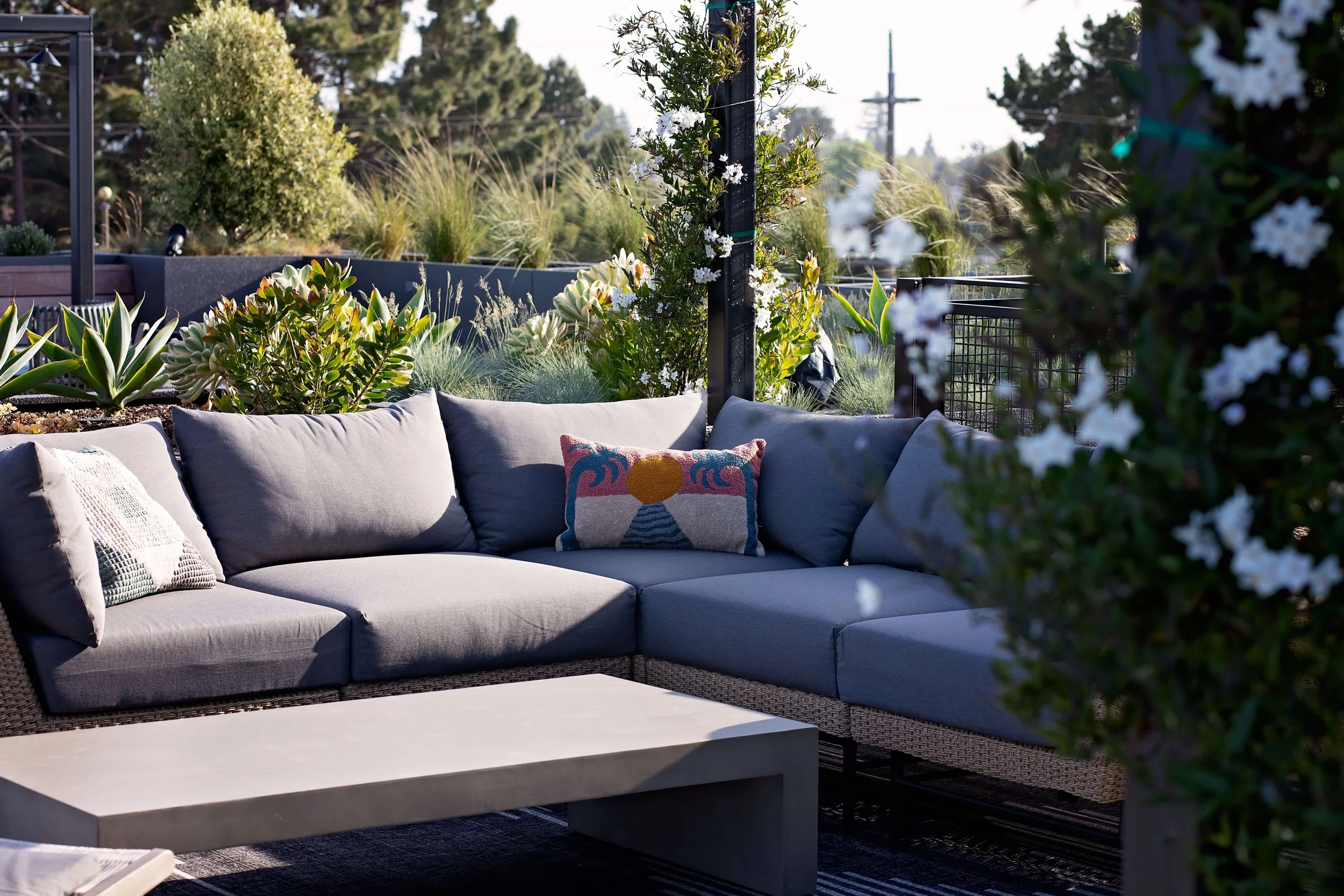 丨美国加利福尼亚丨Vida Design-66