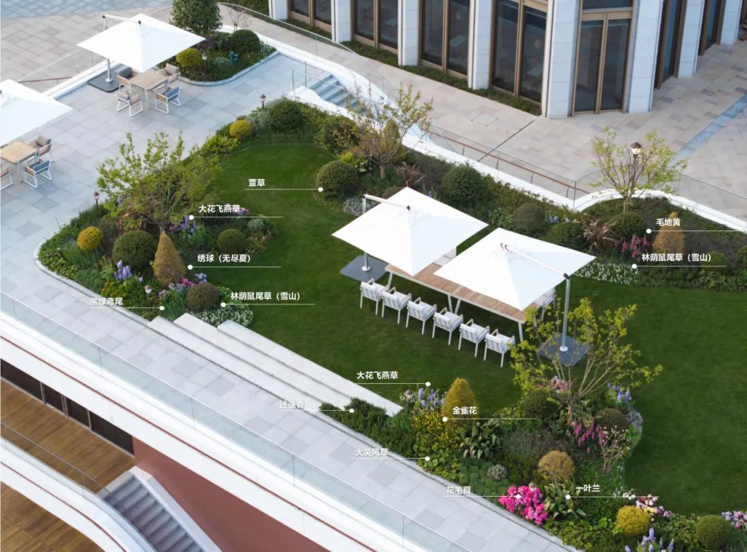 食游一体的活力空中花园|上海青浦西岑水上餐厅花园-50