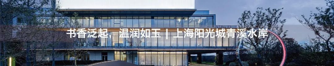 杭州阳光城拱宸府——融合东西方元素，打造现代品质建筑-65