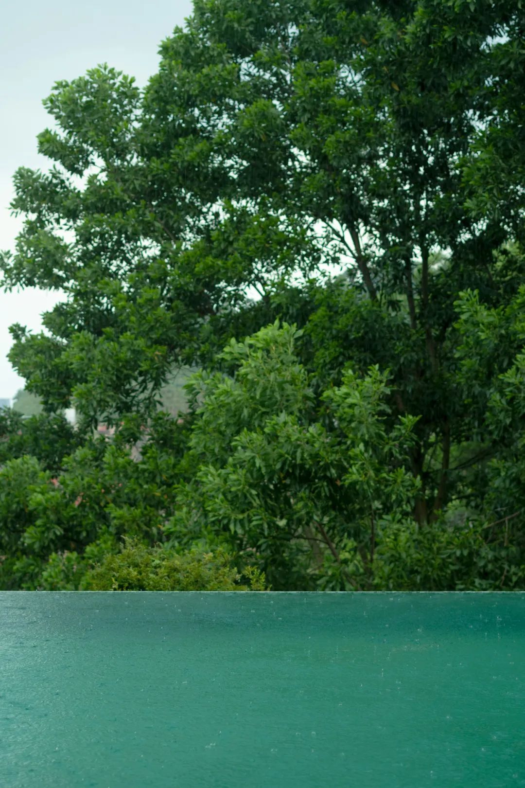 半山栖居丨中国东莞丨JOLLYDESIGN 乔里设计-6