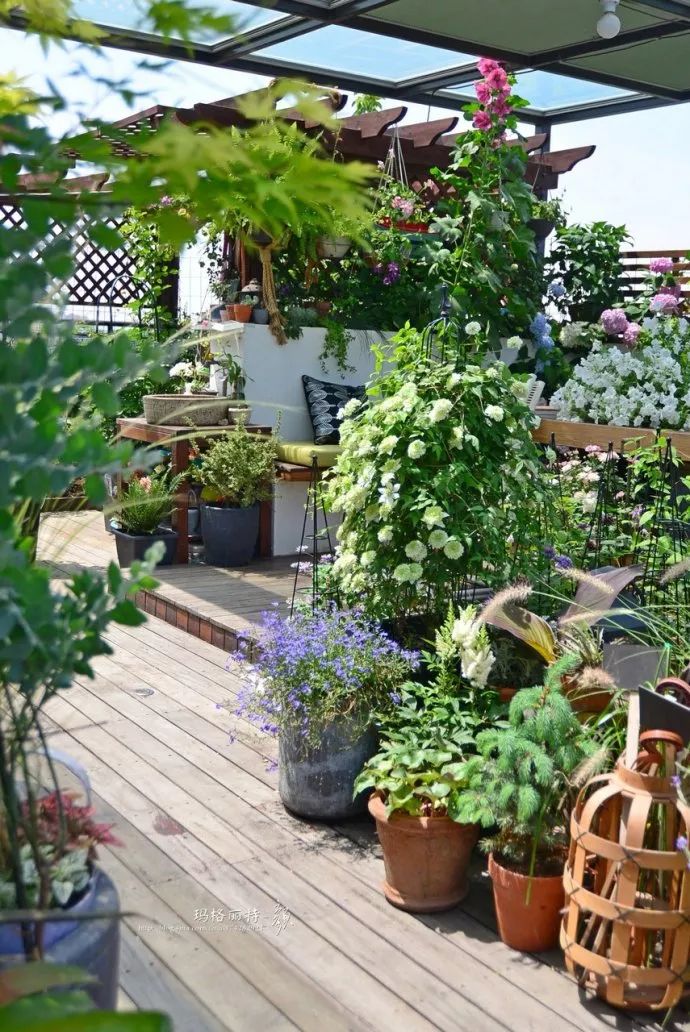 她在楼顶悄悄建了一座梦想花园，美翻了！这才是把日子过成诗的样子-45