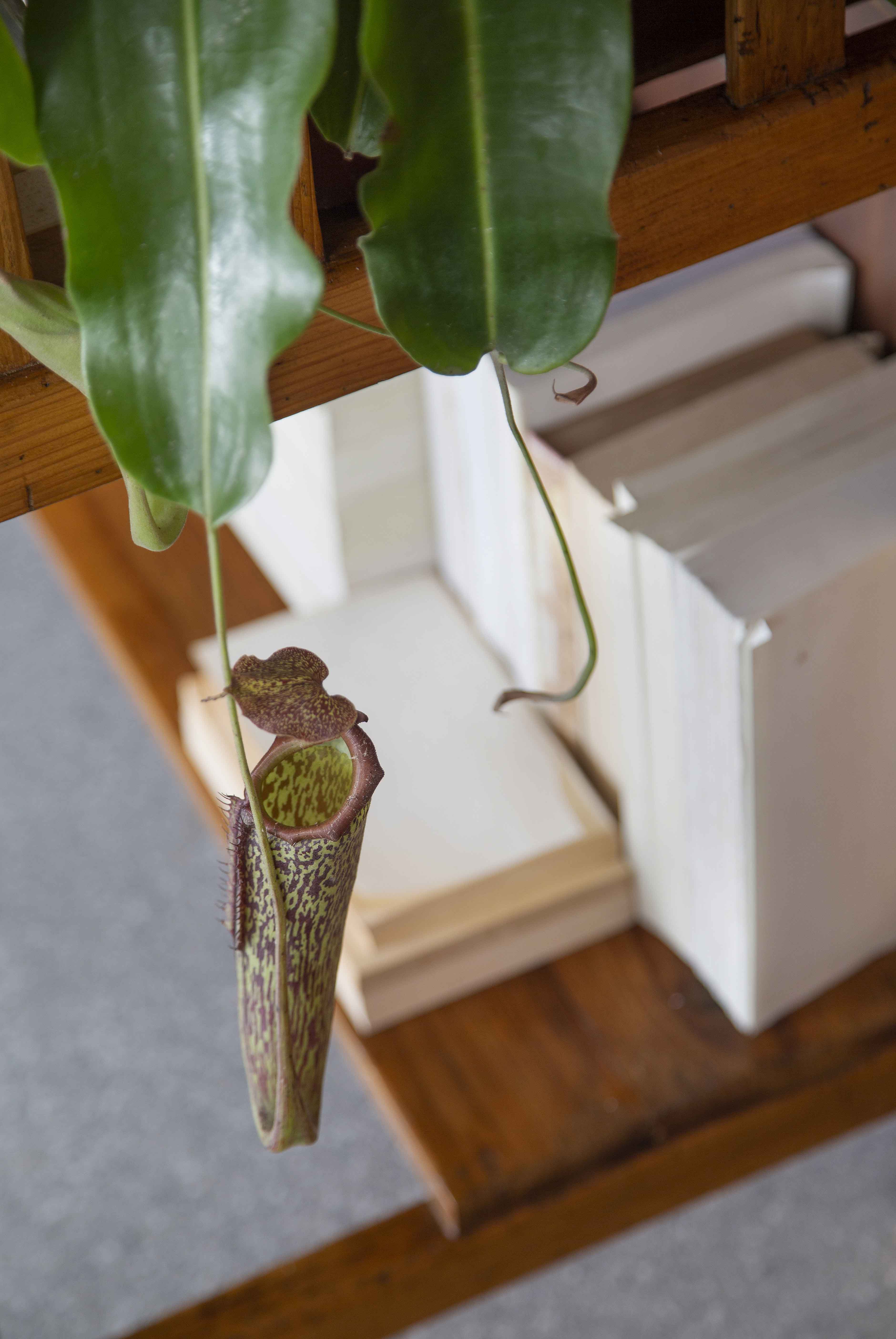 DN 公寓丨巴西圣保罗丨BC Arquitetos-27