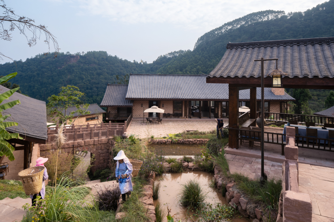 幸福岭 · 川西古村的生态民宿聚落设计丨中国眉山丨四川省大卫建筑设计有限公司-31