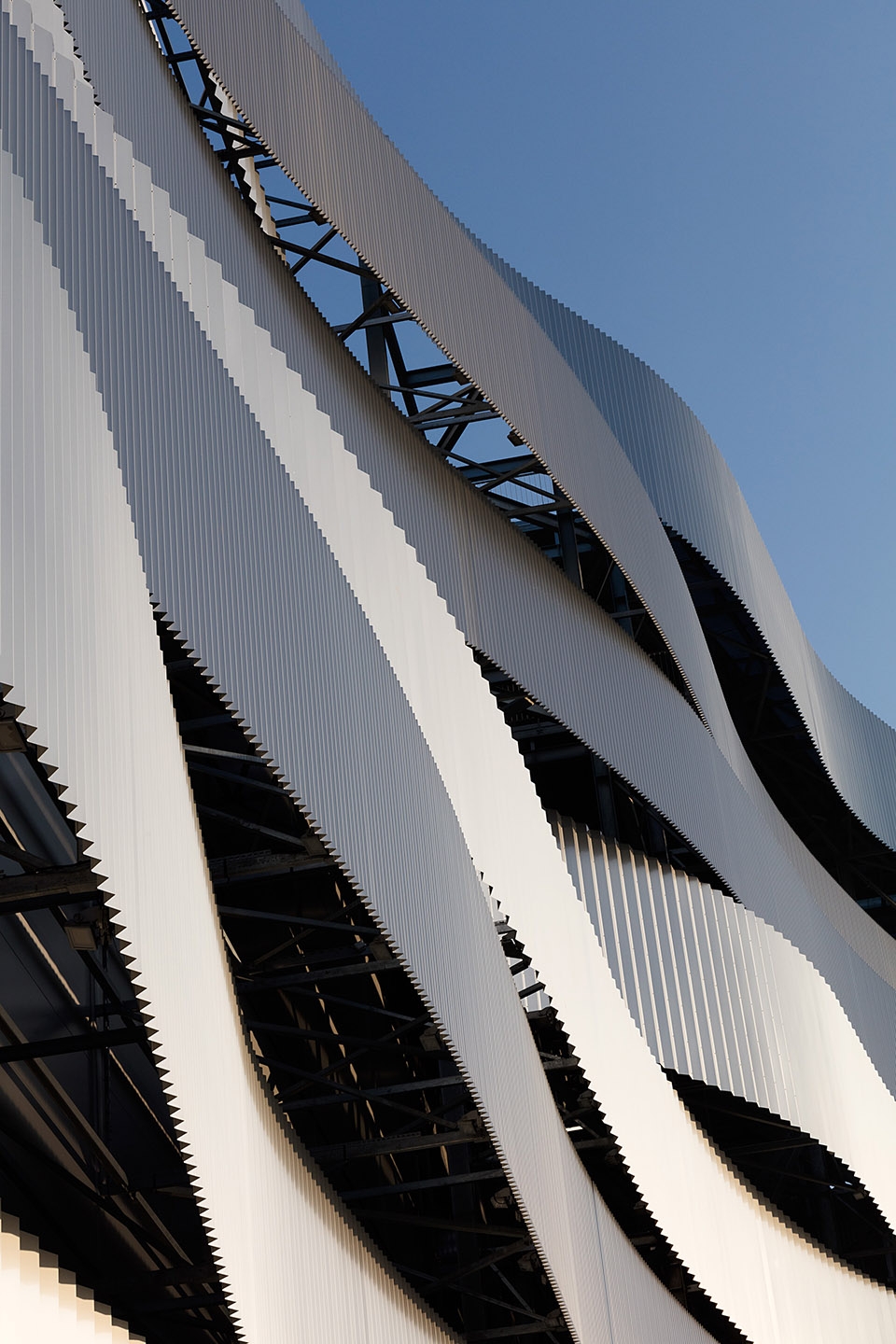 Duna Arena游泳馆-47