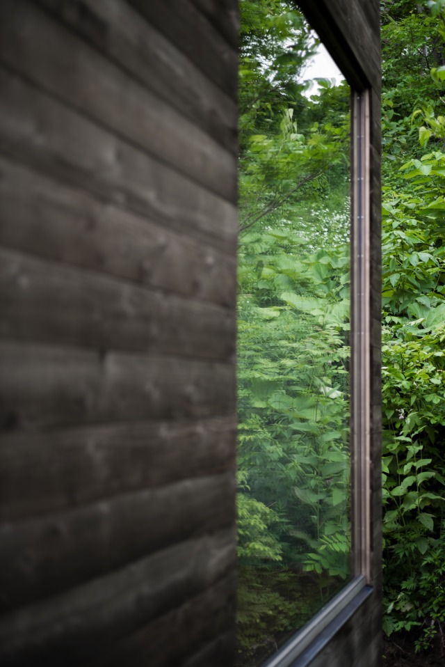 丨日本丨Florian Busch,Sachiko Miyazaki等-45