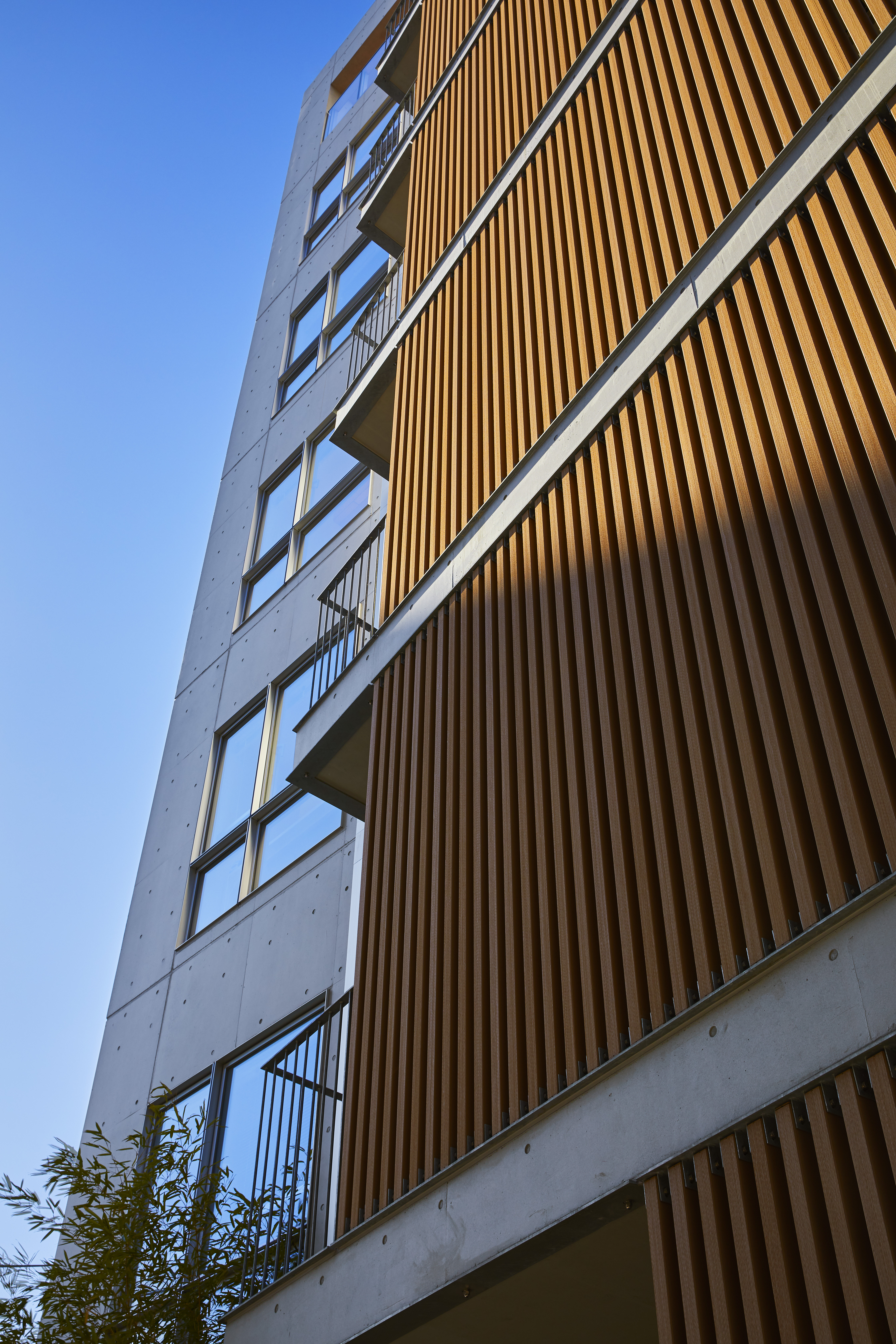 东京木叶公寓丨日本东京丨SAKAE Architects & Engineers-40