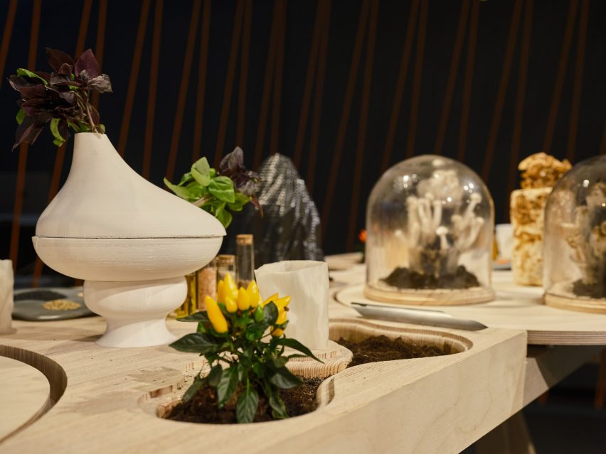 塔林建筑双年展丨爱沙尼亚丨Lydia Kallipoliti,Areti Markopoulou-28