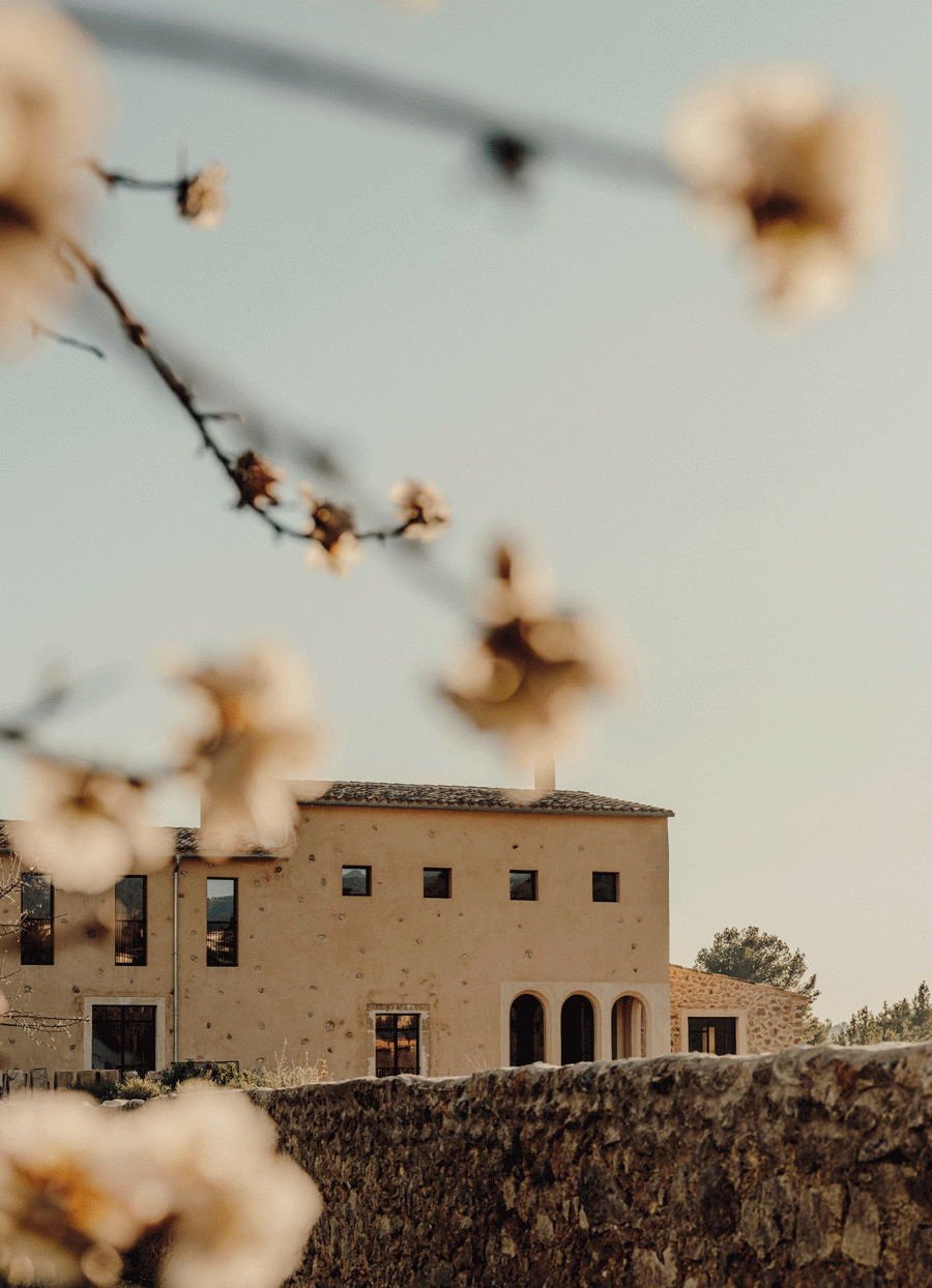 马略卡岛古老庄园翻新项目丨西班牙丨Bon Vivant Concept 工作室-12