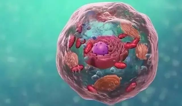 《Science》公布的 125 个最具挑战性的科学问题,你感兴趣的是哪个?-154