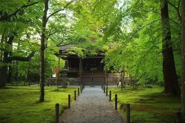 日式禅意庭院-20