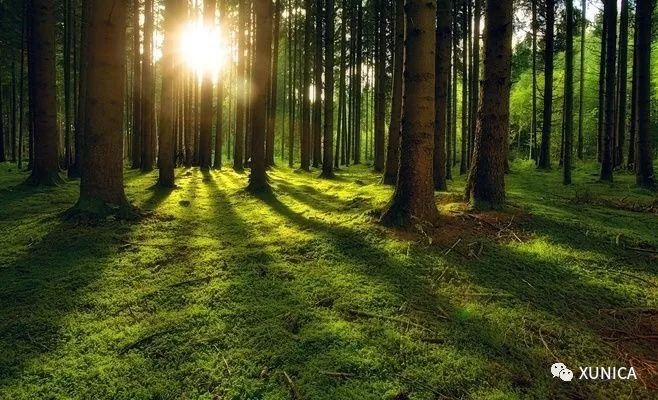 《大鱼海“堂”》 | 返璞归真的禅意设计-9