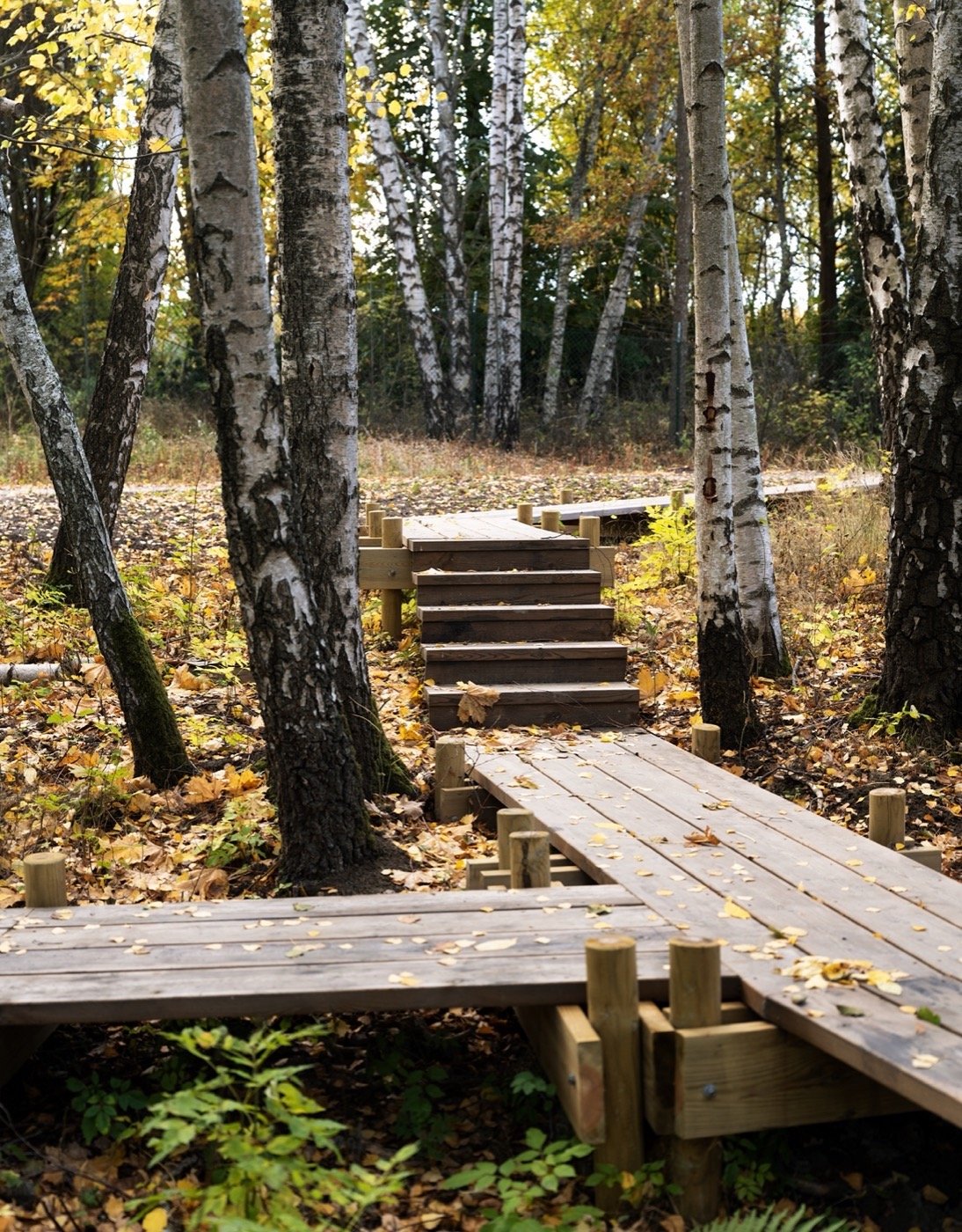 瑞典克洛克伦海滩公园丨瑞典斯德哥尔摩-13