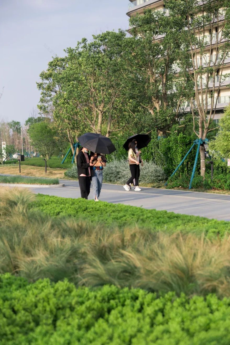 成都东安湖木棉花酒店丨中国成都丨Lab D+H,CELEC成都绿茵景园-21