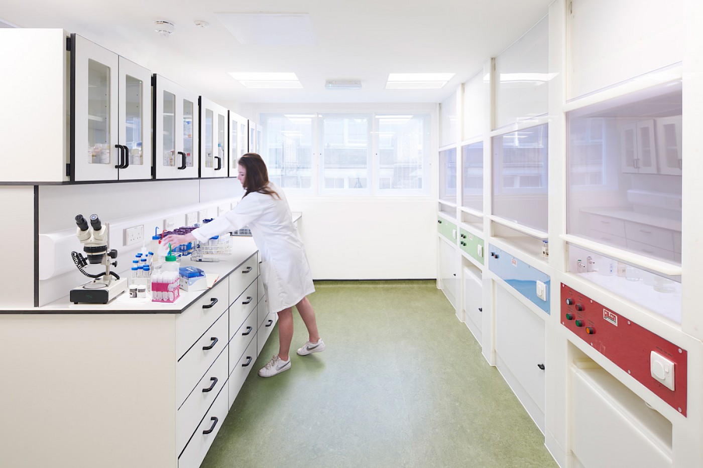 丨Levitt Bernstein-41