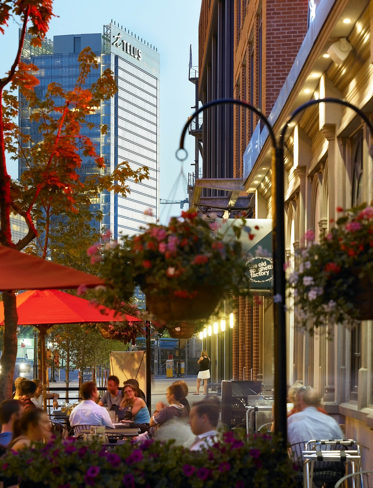 泰勒斯大厦丨加拿大多伦多丨Sweeny&Co. Architects-45