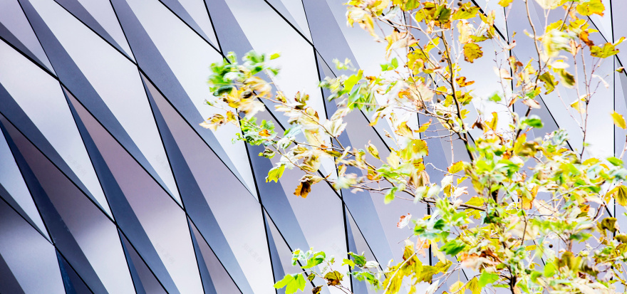 580 george street lobby upgrade-6