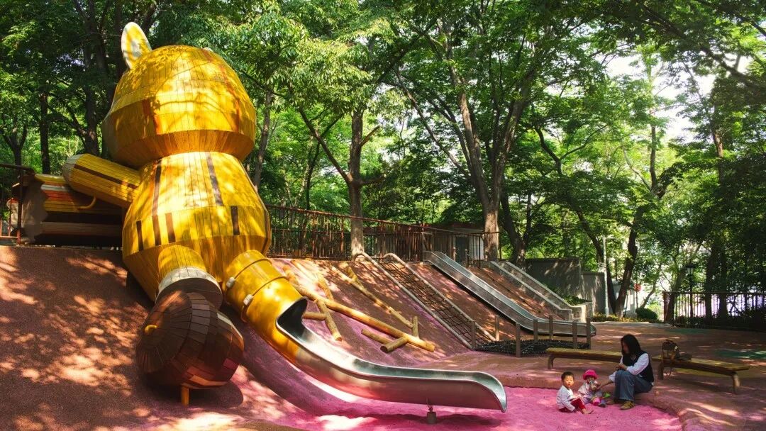 百姓乐园：榉林山焕新归来，悦享自然人文之美-8