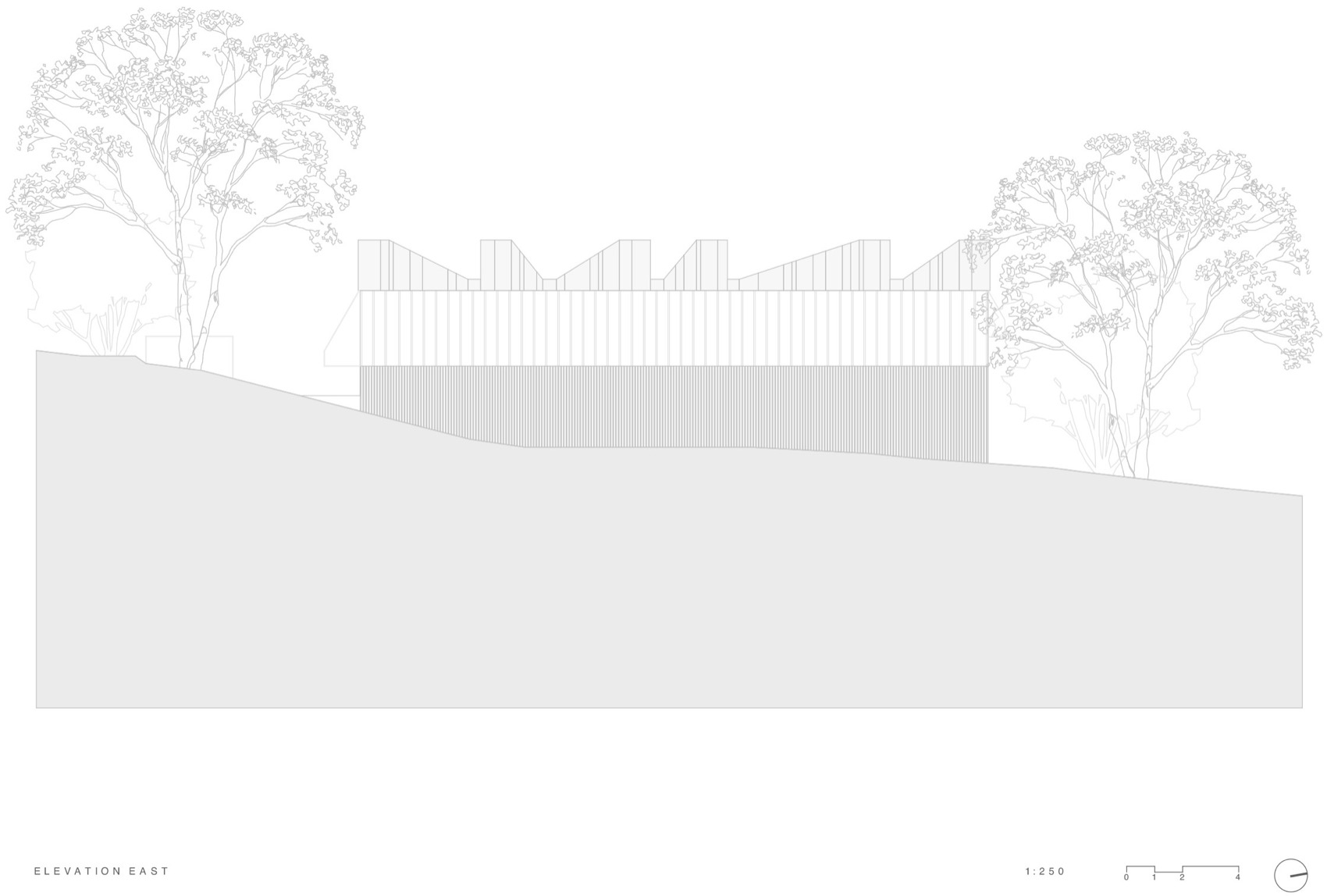 Lane Cove住宅丨澳大利亚悉尼丨Lachlan Seegers Architect-41