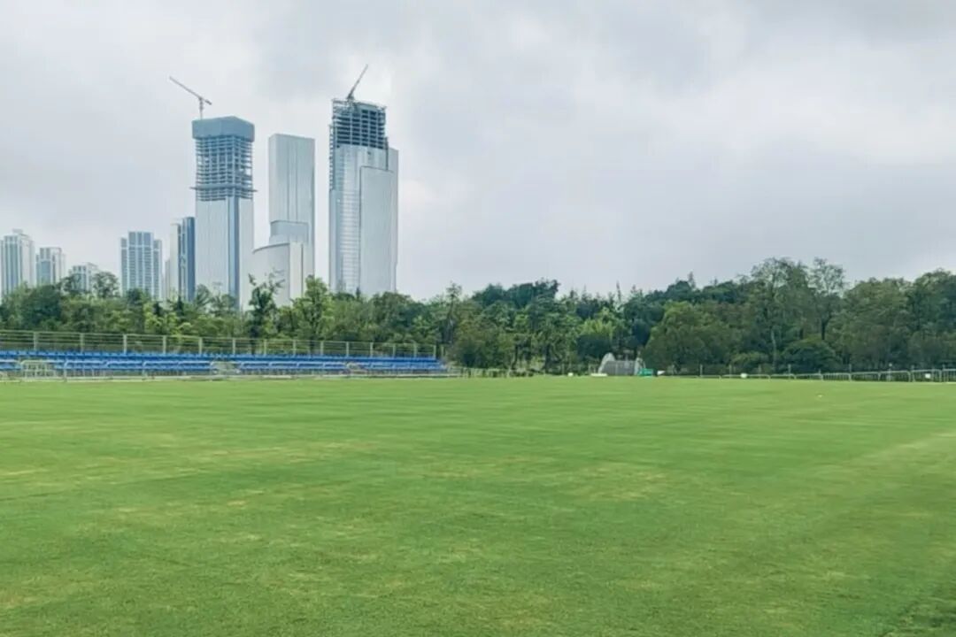 世界赛事进公园丨浮士德球和速度攀岩竞赛场馆预计6月底验收-5