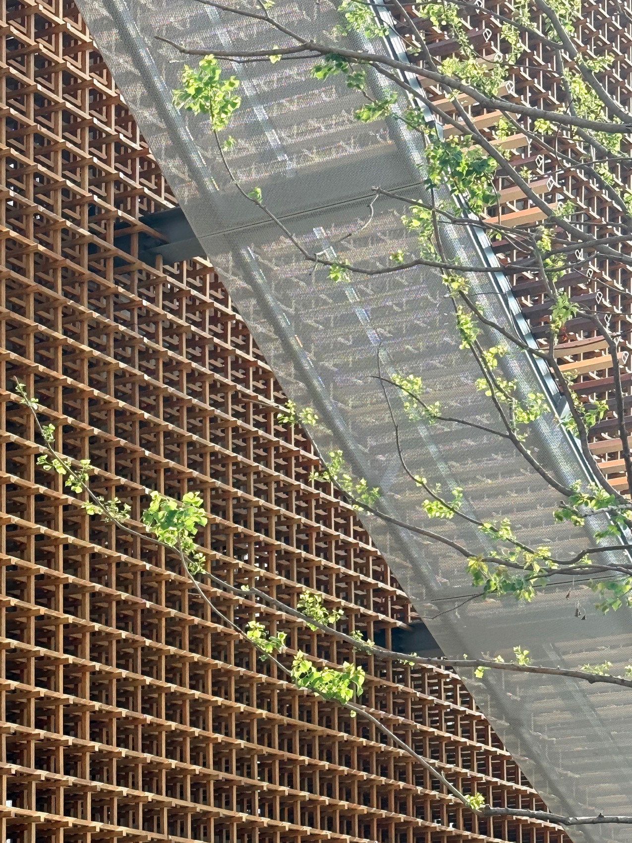 紫藤驿站丨中国南通丨方案张·雷设计研究azLa,施工图南京长江都市建筑设计-38