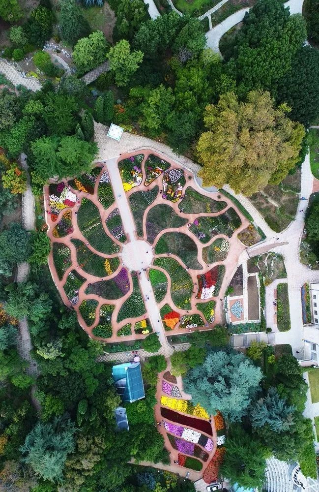 四月花海 | 迪拜奇迹花园的植栽设计-13