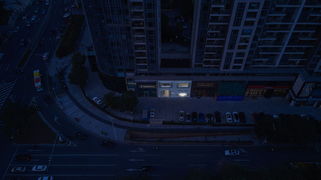 bibu宠物店丨中国广州丨今朝风日好ofD-58