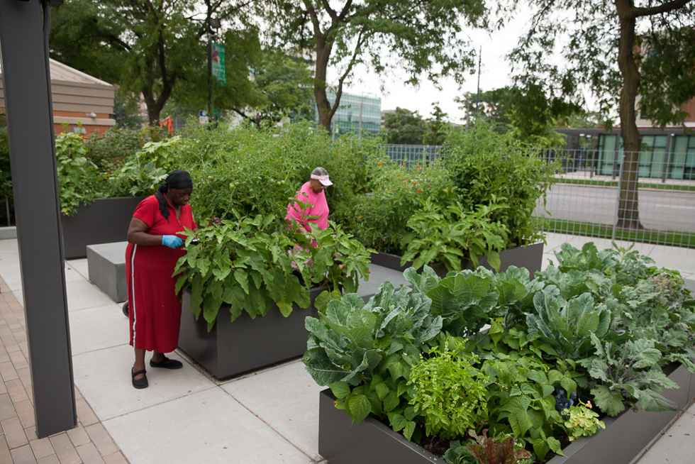 丨Site Design Group-21