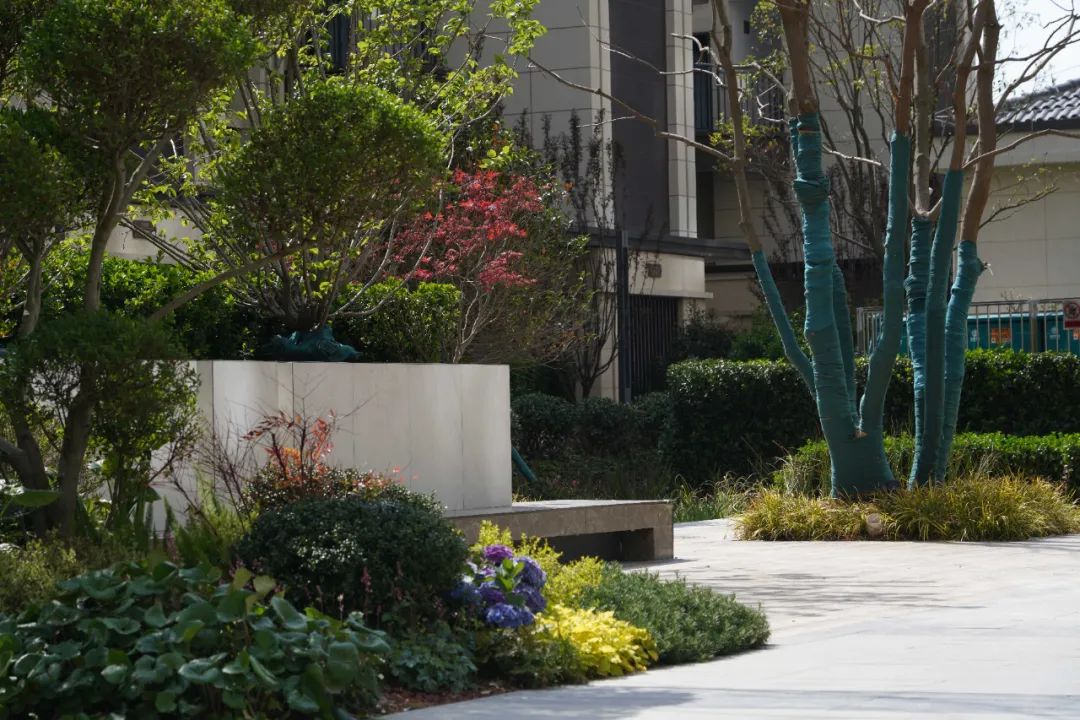 宿迁滨河道·艺术人居景观丨中国宿迁丨MPG 摩高景观-37