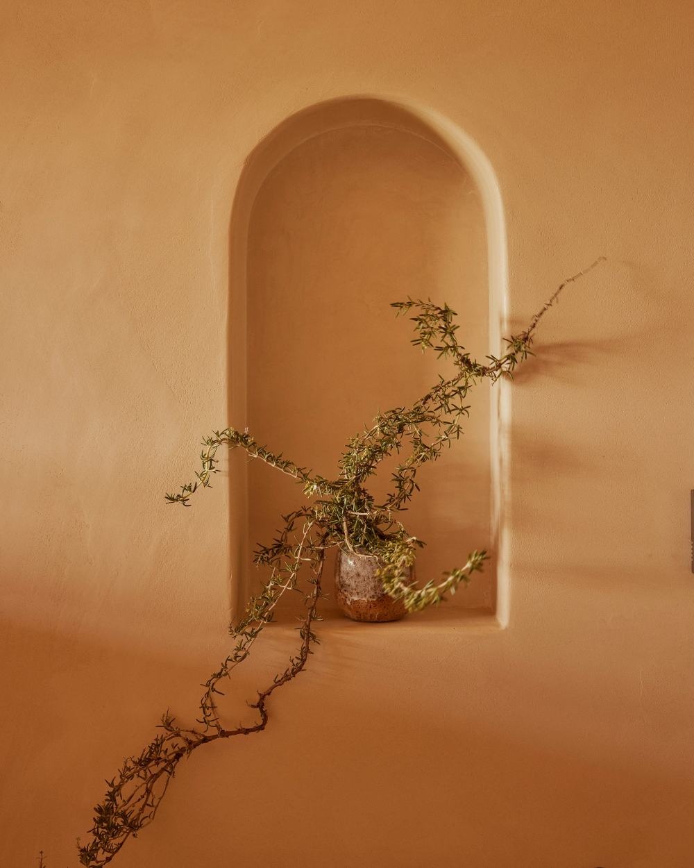 田园诗般的度假屋丨澳大利亚丨Story Design Collective-90