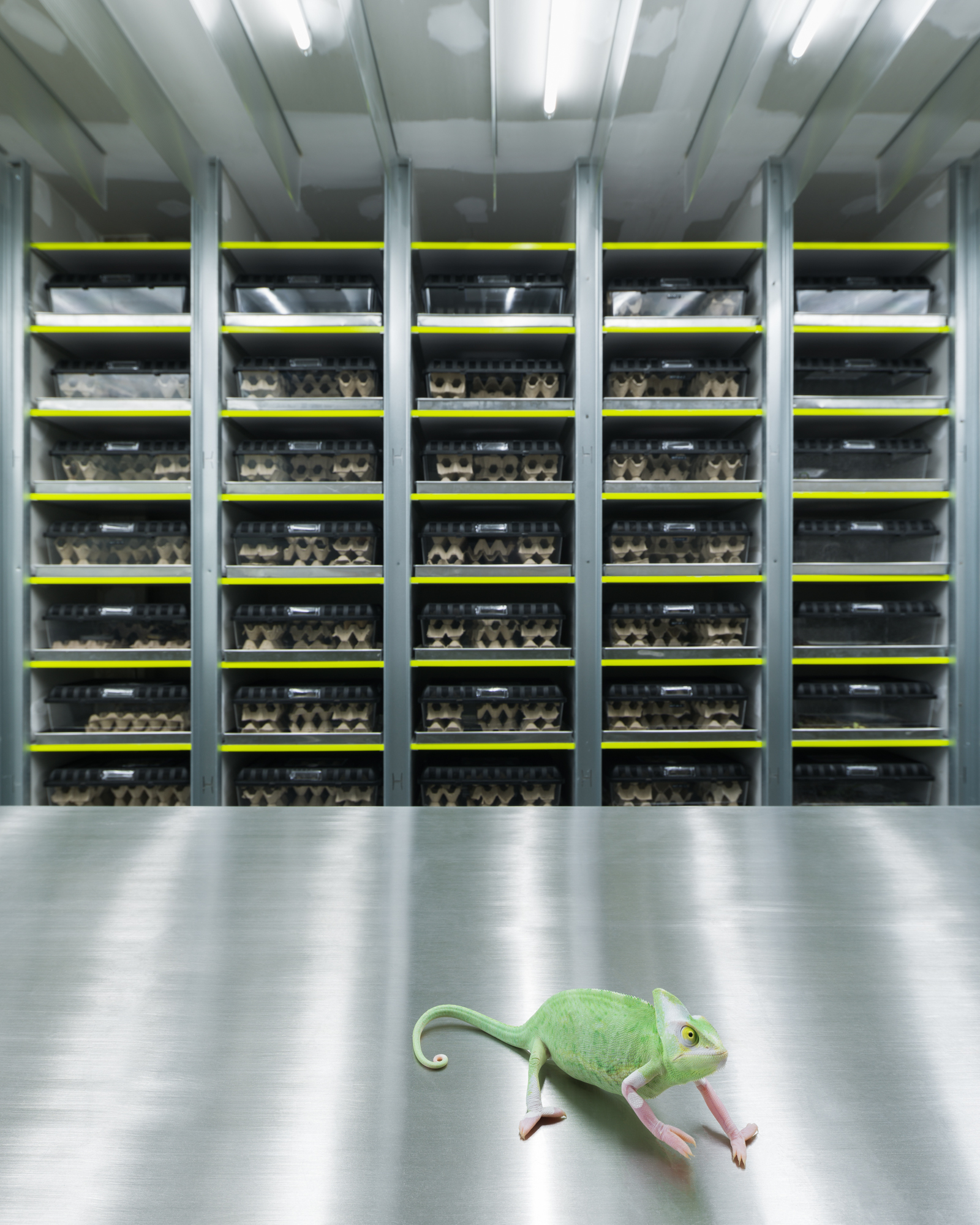 Exofood Retail and Lab / space+craft-38