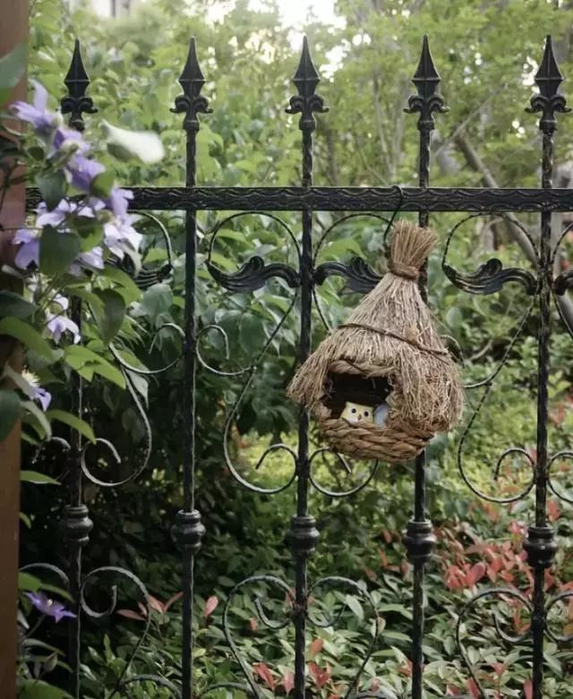 阳光里的美好片段-22