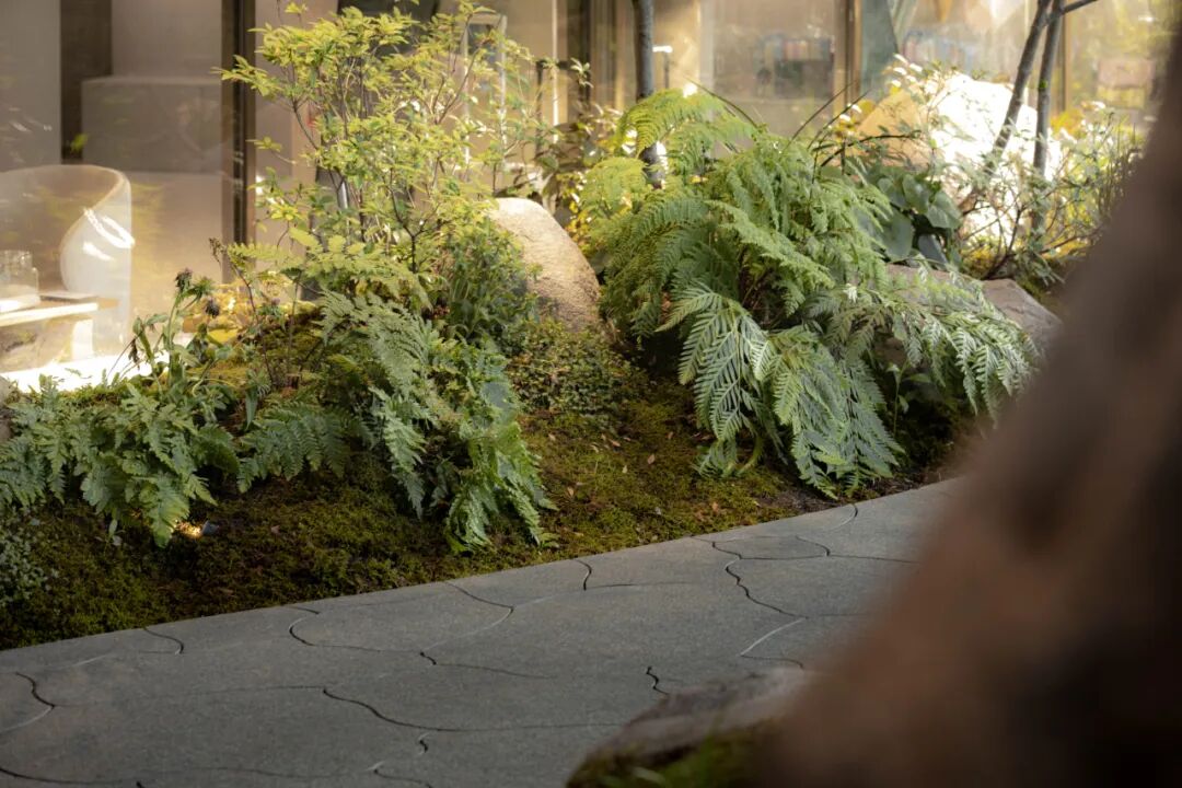 JLC金陵中環|从水墨画境走入自然草木-55