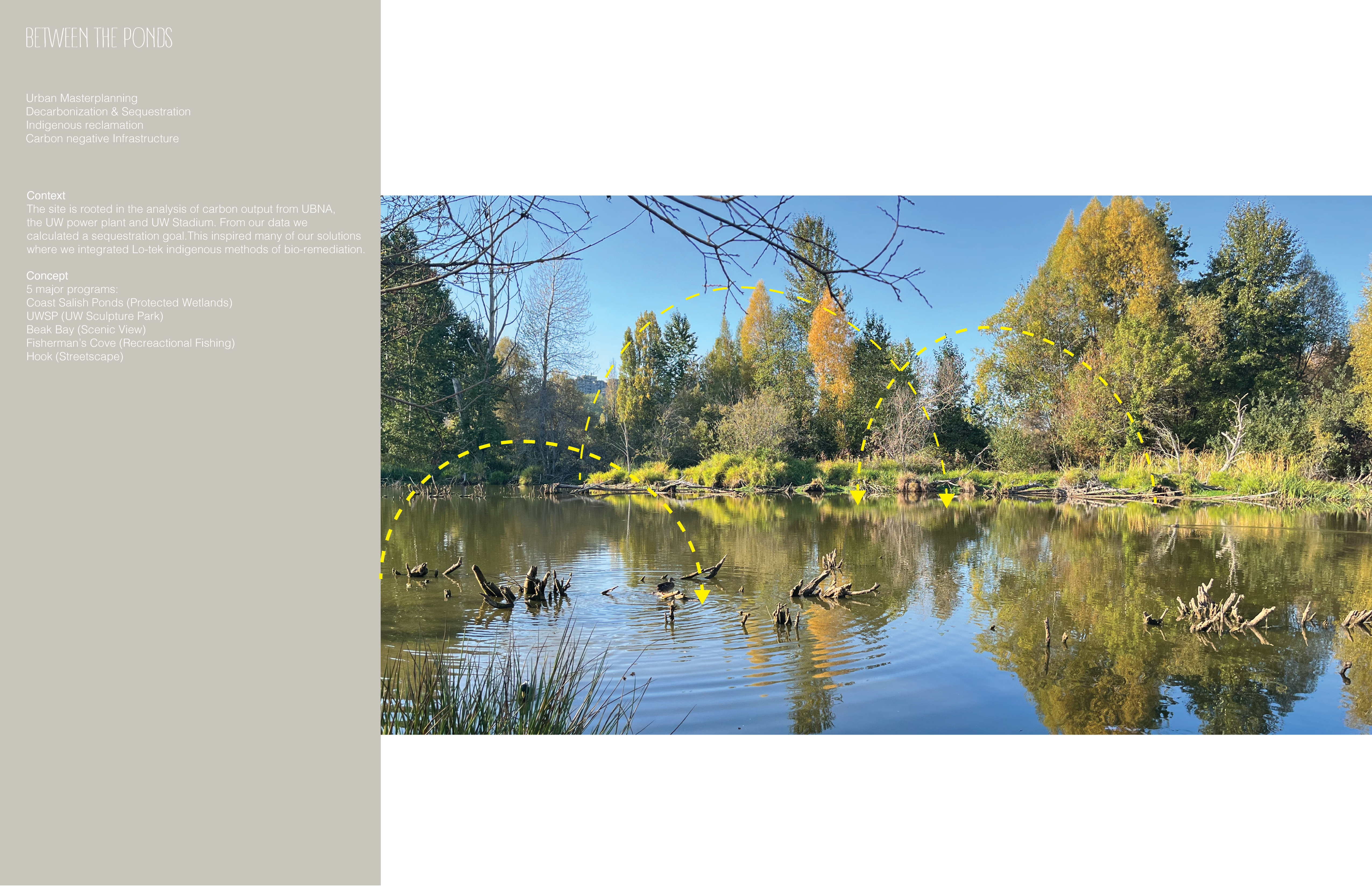 AB Portfolio-8