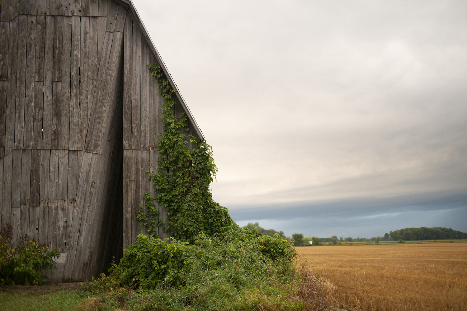 神秘天空丨美国密歇根丨*Alibi Studio-27