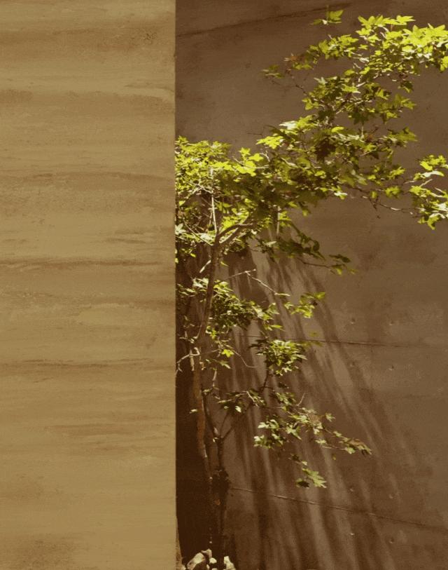 卡百利艺术涂料美学馆丨中国惠州丨土禾空间设计事务所-10