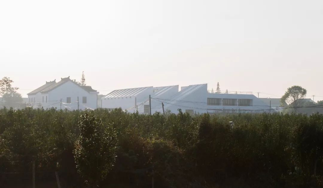 乡村粗野主义三部曲 | 探寻环境、结构与人的互动关系-120