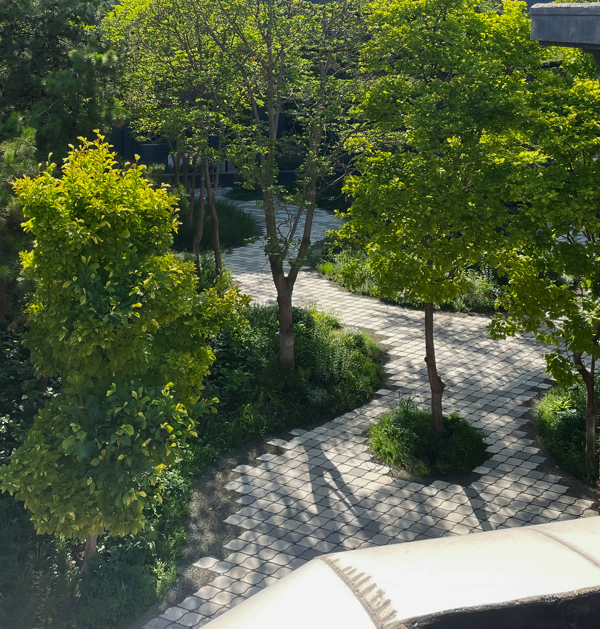 北京市三里屯西五街5号院花园丨中国北京丨OneScape一域景观事务所-148