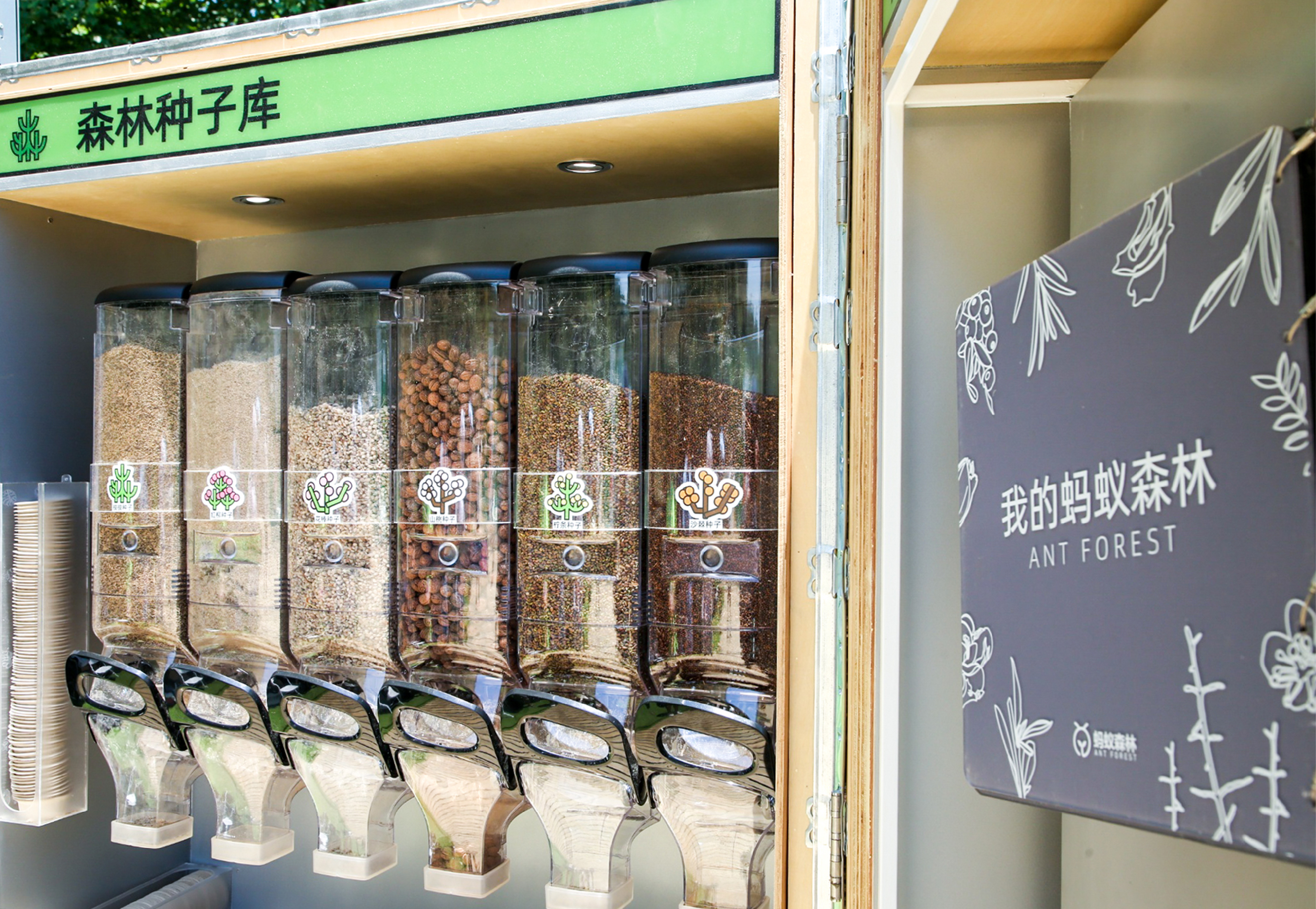 《森林LAB · 城市里的荒漠森林》互动展览丨中国杭州丨蚂蚁森林×不是美术馆-21