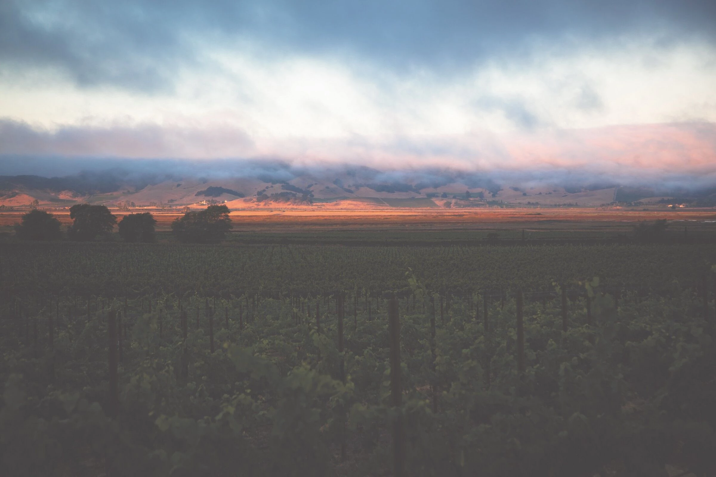 多努姆之家丨美国加利福尼亚丨Studio David Thulstrup-38