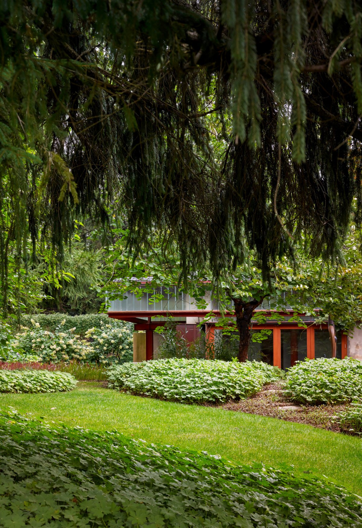 Ravine Guest 住宅-5