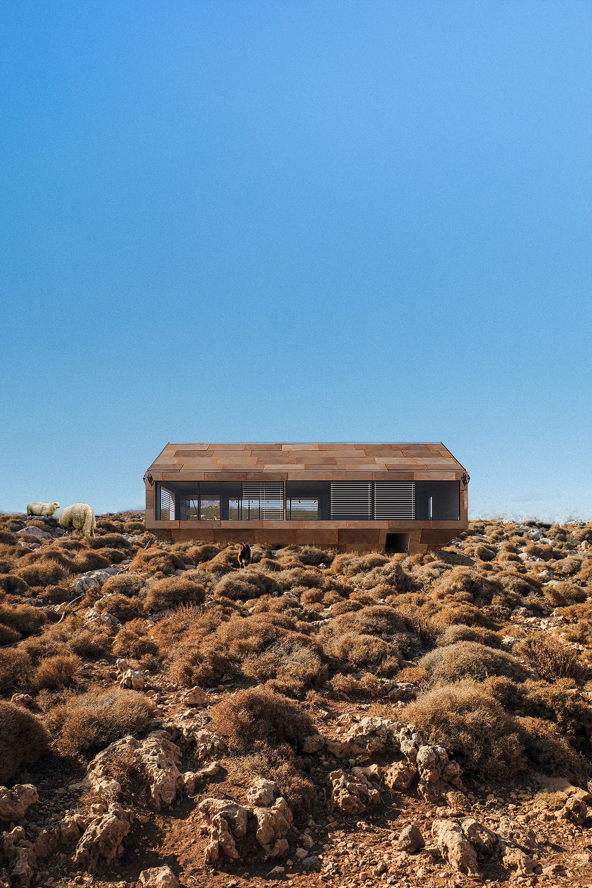 生物群落的传奇  Maclear 灯塔丨巴西丨Arthur Valente-0