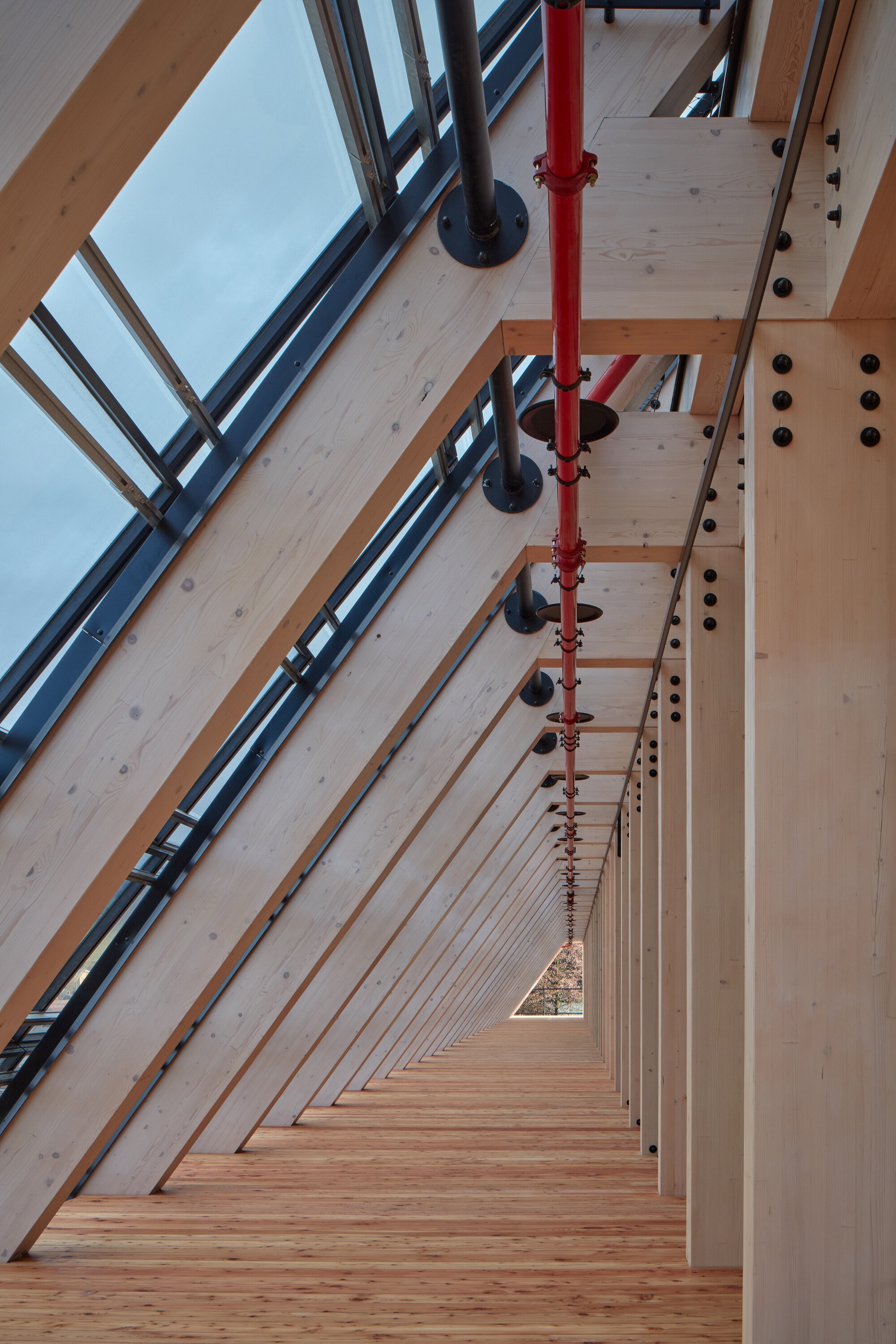 Klouboucká 森林总部丨俄罗斯丨Mjölk architects-43