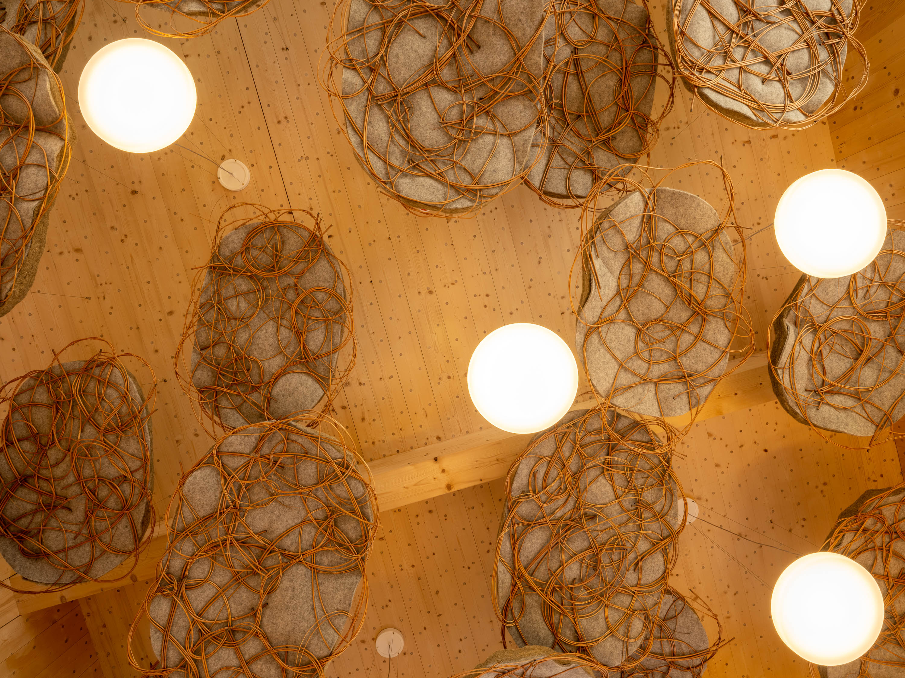 “Purzelbaum”日托中心丨德国丨Erfurt & Partner GmbH 建筑与工程集团-21