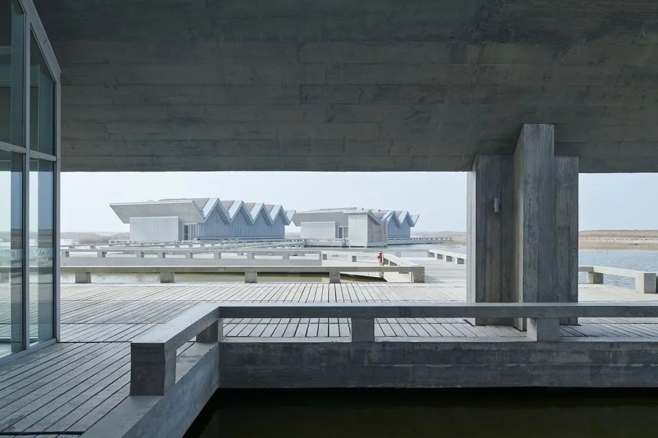 "一体两面"的崇明东滩湿地科研宣教中心-38